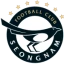 Seongnam FC